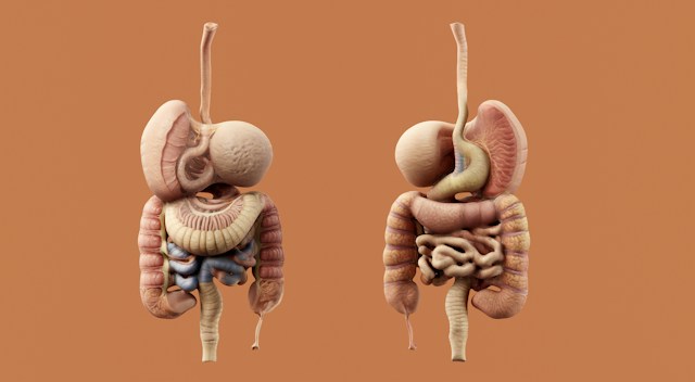 Medical illustration showing colorectal cancer screening and early detection in younger adults.