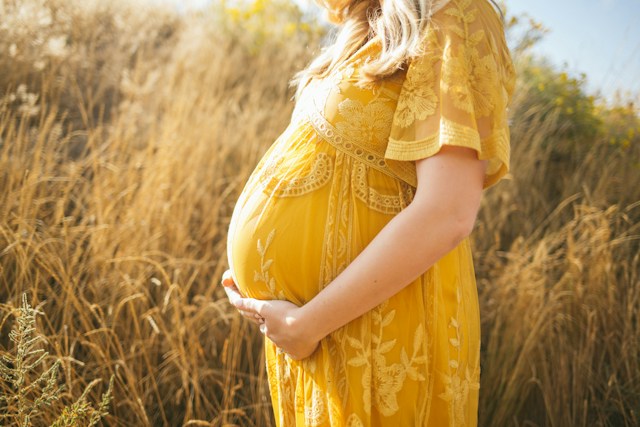 A pregnant woman consulting her doctor about anemia and nutrition during pregnancy