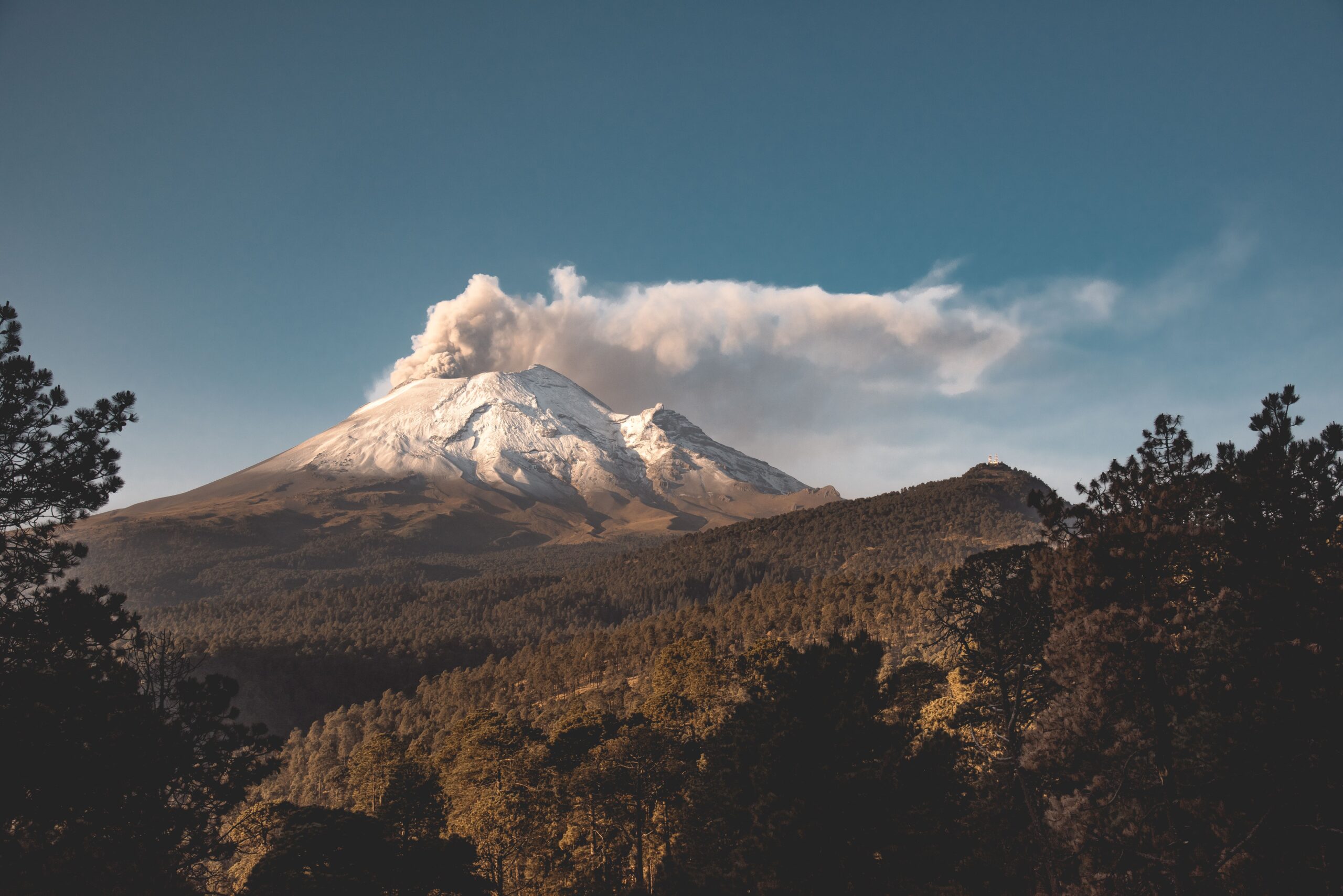 Forested volcanic mountainside viewed as scientists study vegetation and satellite signals for volcano monitoring.