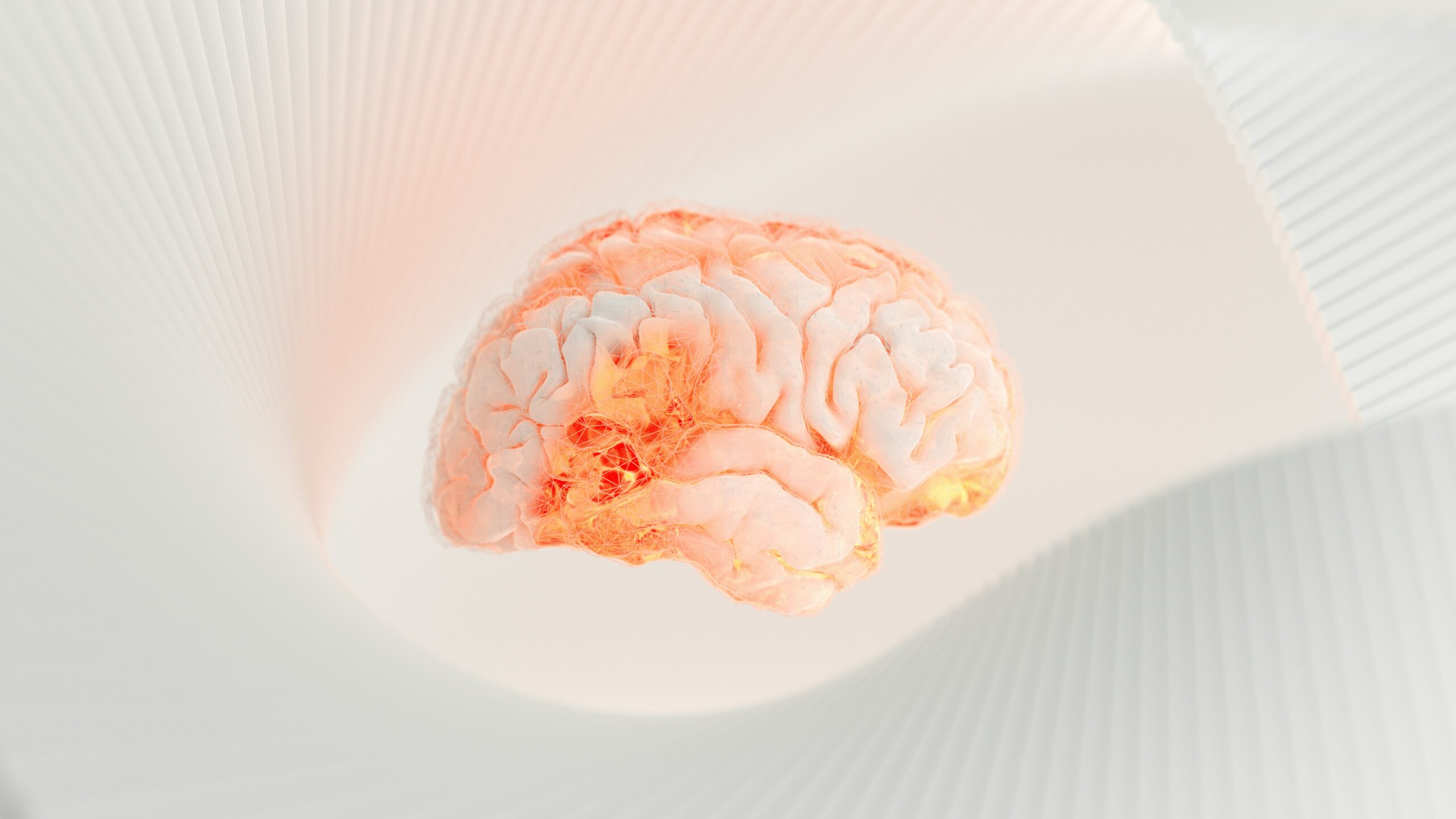 Illustration of the human brain highlighting the hippocampus, a region involved in learning and memory, during sleep.