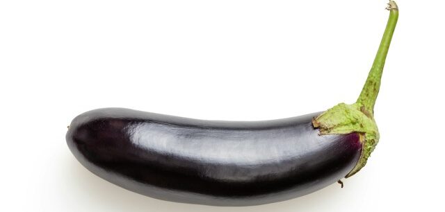Fresh purple eggplants with their glossy skins intact on a kitchen counter